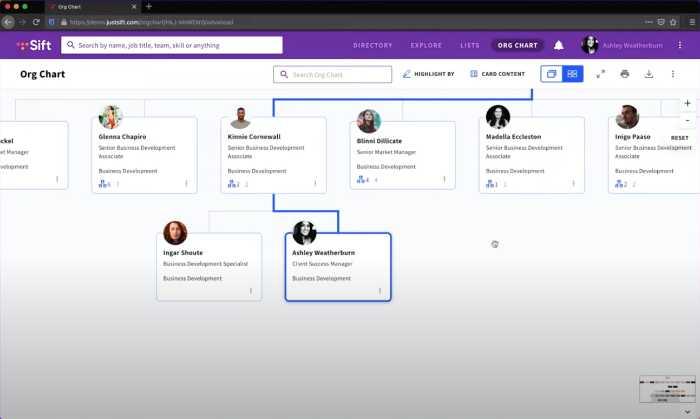 Sift Org Chart Example