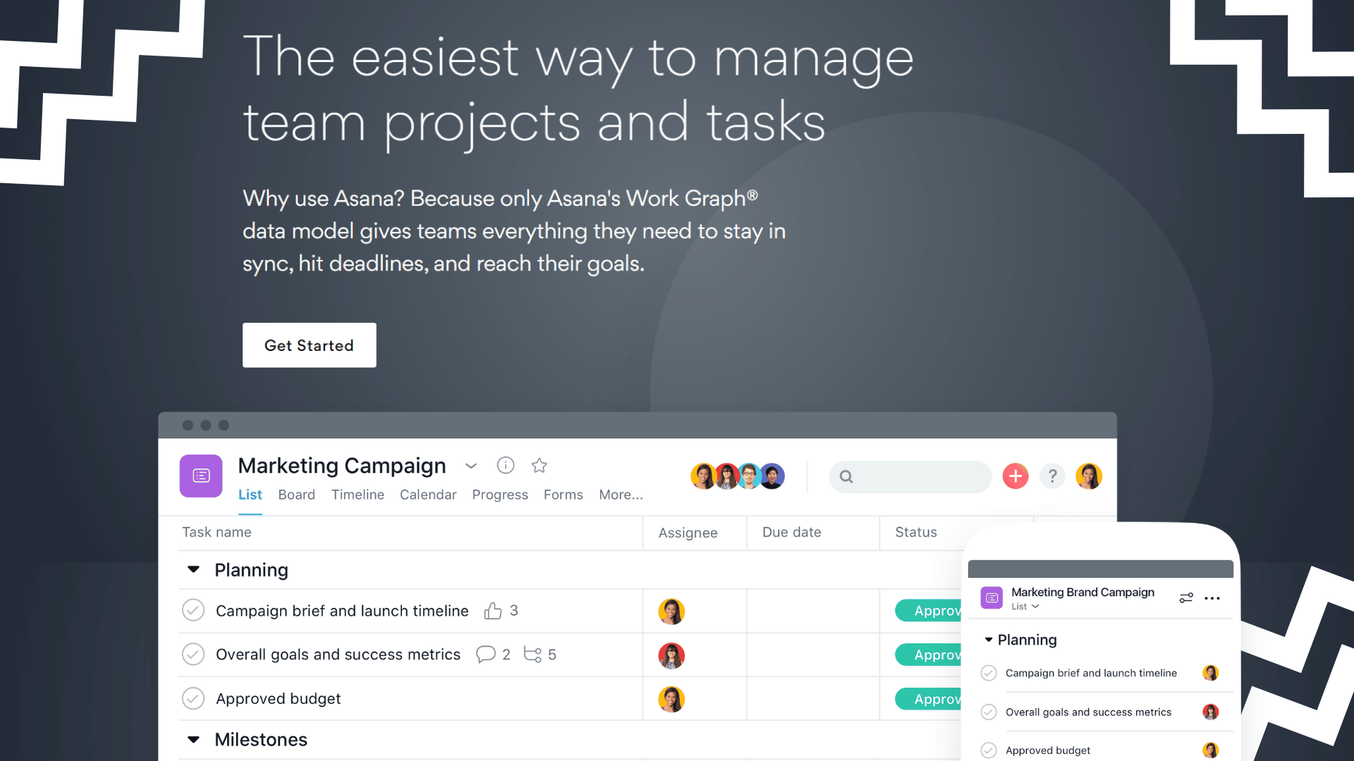 Asana Features