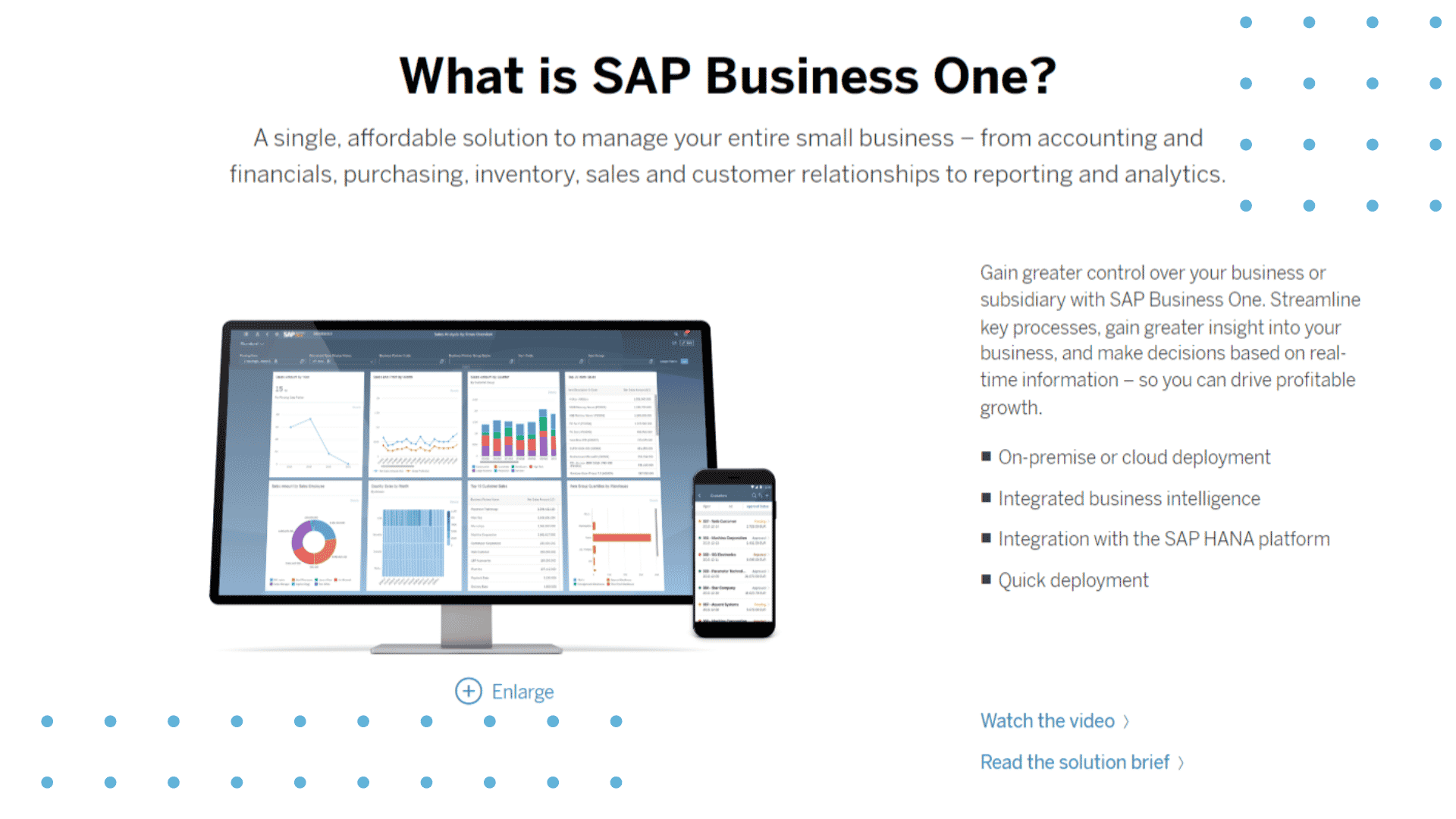 SAP Business One Features