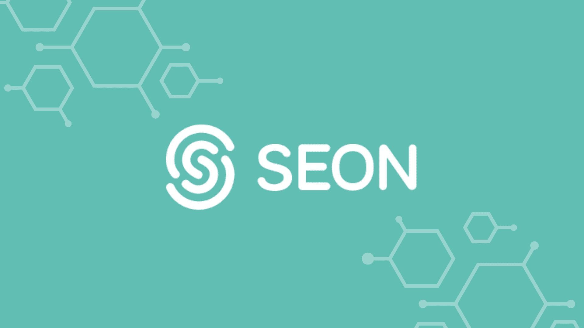 SEON Logo