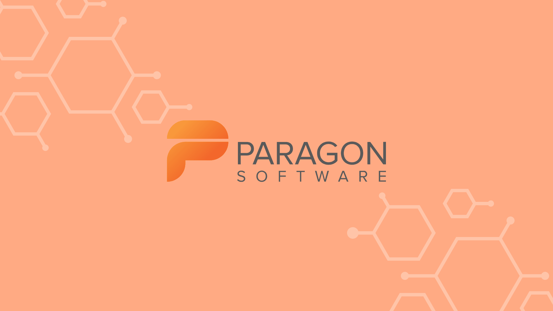 Paragon Hard Disk Manager Logo