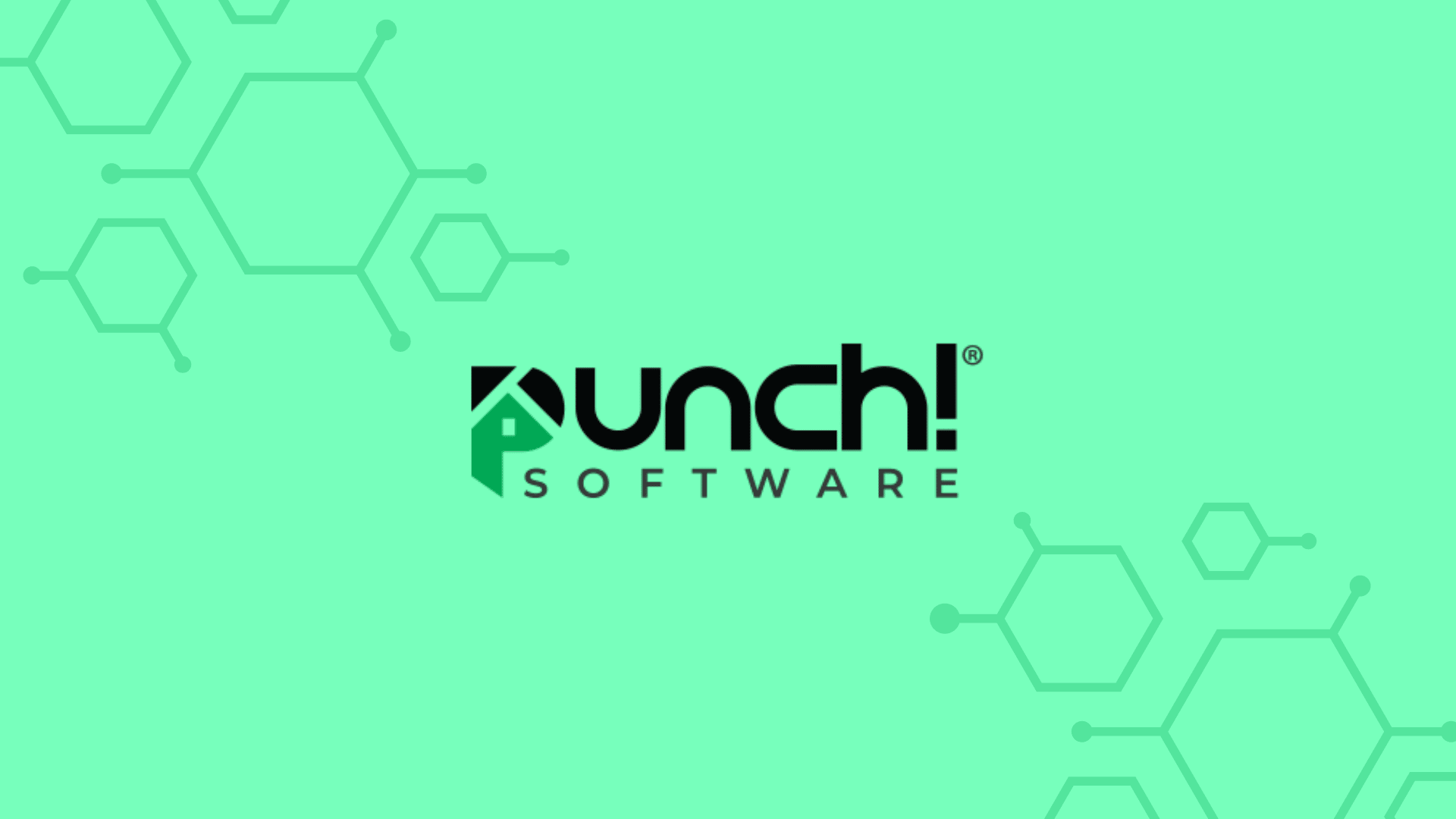 Punch Software Logo