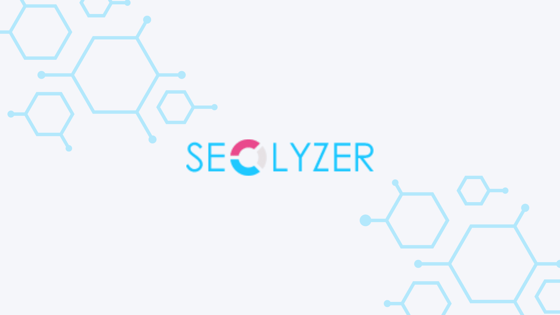 SEOLyzer Logo