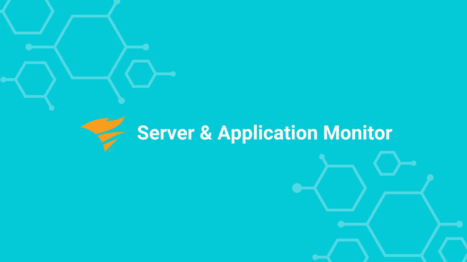 SolarWinds Server & Application Monitor Logo